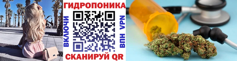 Каннабис конопля  Ворсма 
